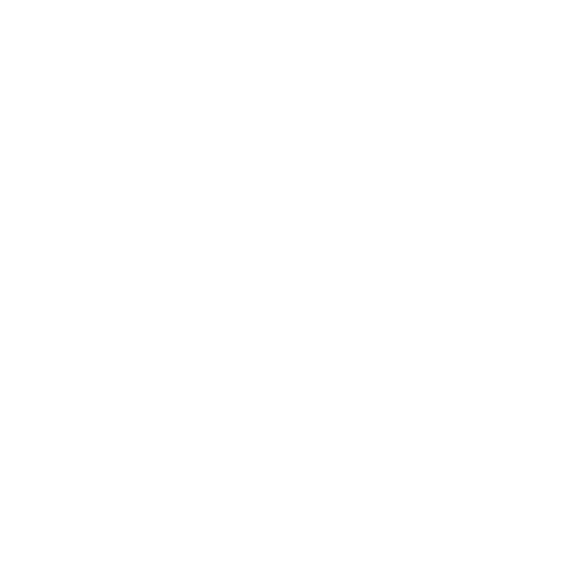 Icon loupe search