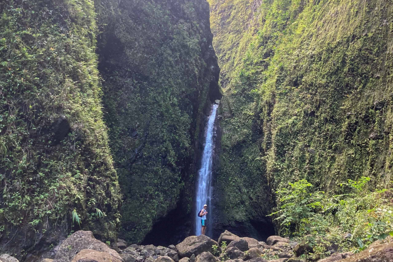 bluehawaiian full maui helicopter tour sacred falls