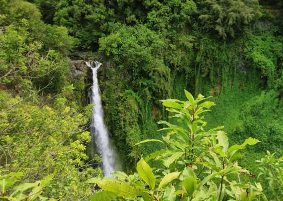 bluehawaiian makahiku falls on maui slider