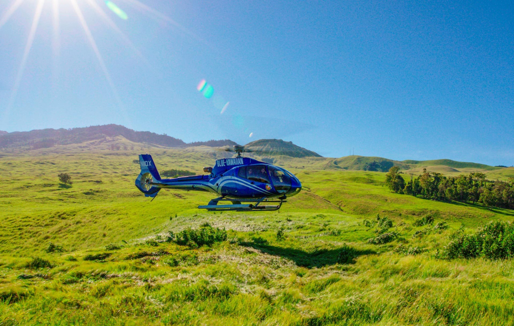 lush meadows of the ulupalakua ranch maui blue hawaiian helicopter