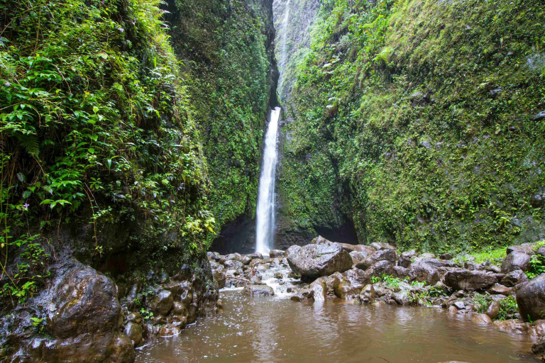 oahu sightseeing tour sacred falls on oahu