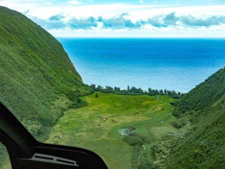 Kohala Coast Helicopter Tour Remote Valley and Ocean Big Island