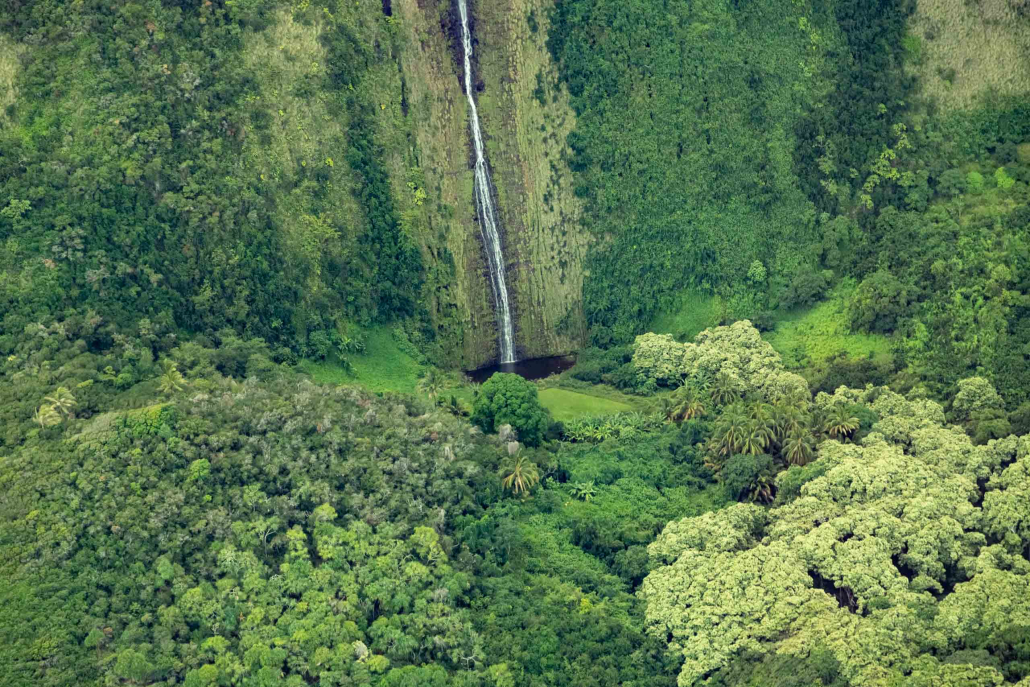 Kohala Coast Helicopter Tour Waterfall Pool and Jungle Big Island