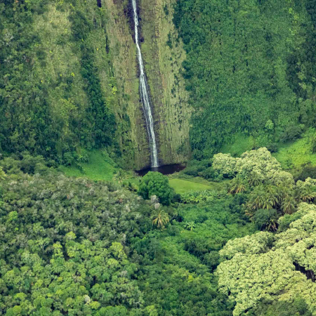 Kohala Coast Helicopter Tour Waterfall Pool and Jungle Big Island