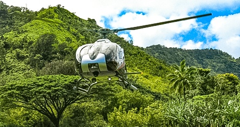 Maverick Helicopters Hana Rainforest Experience