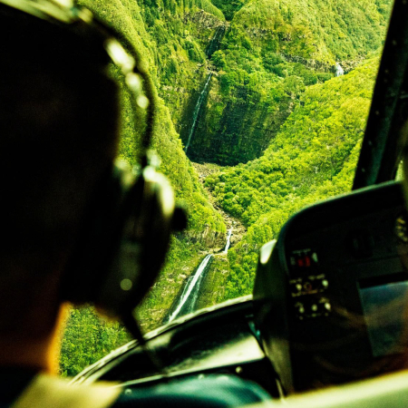 a unique perspective of the hana rainforest maui product images
