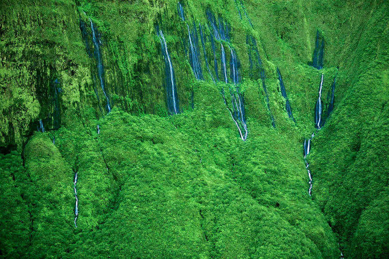wall of tears feature