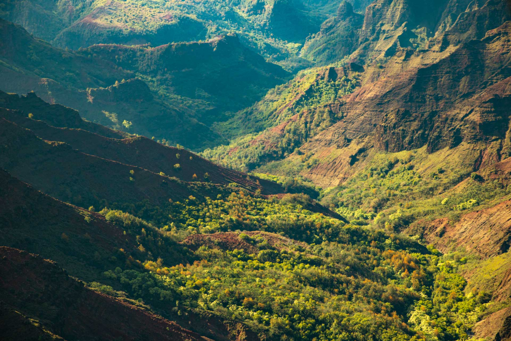 a birds eye view of the deep emerald valleys waimea canyon in kauai