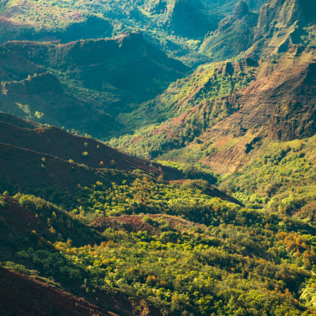 a birds eye view of the deep emerald valleys waimea canyon in kauai