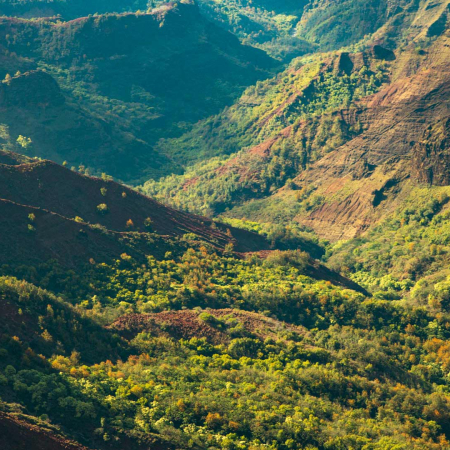 a birds eye view of the deep emerald valleys waimea canyon in kauai product images