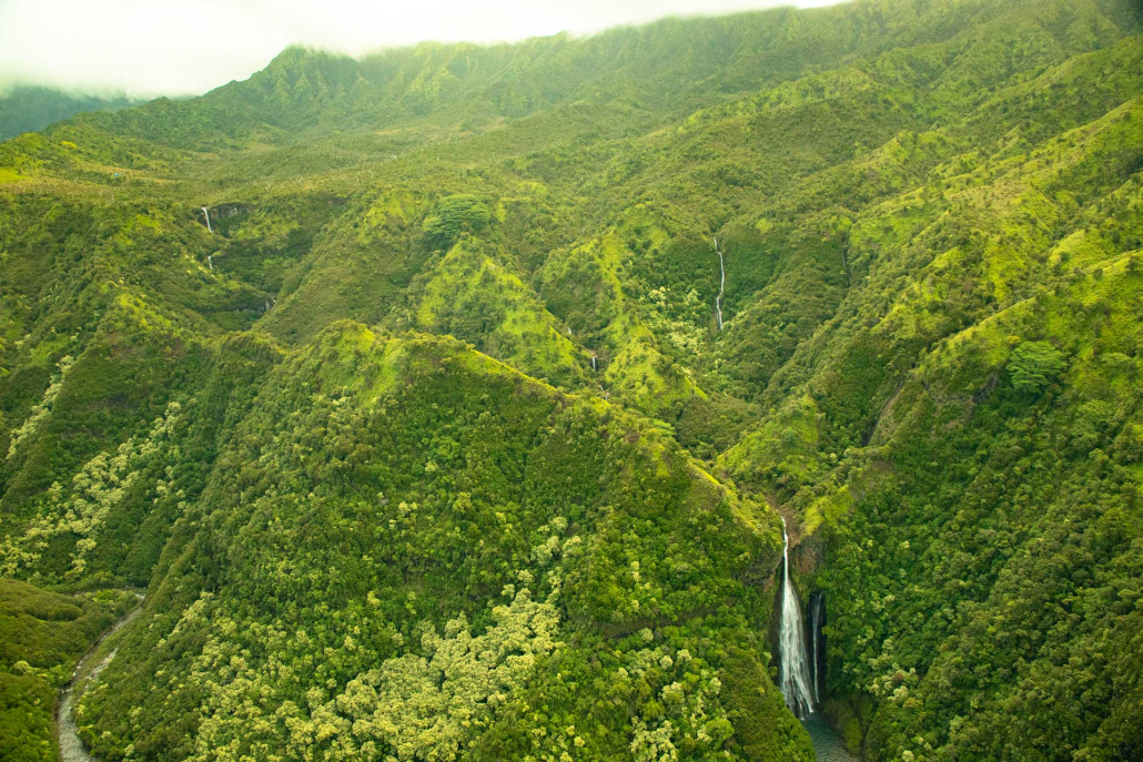 amazing views of manawalopuna falls or jurassic falls kauai