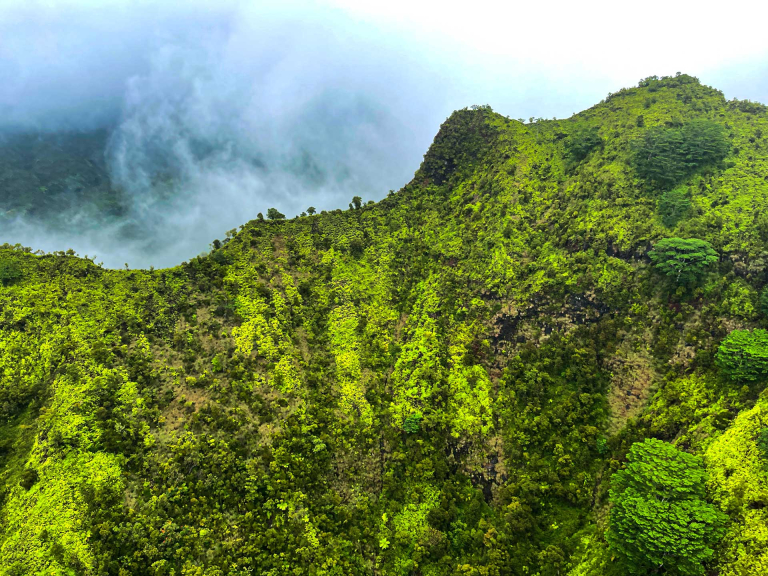 beautiful shot of mount waialeale kauai