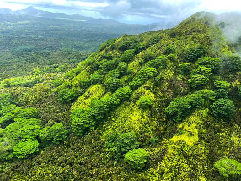 breathtaking views of mount waialeale kauai