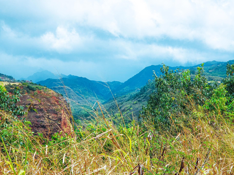 hanapepe valley lookout kauai