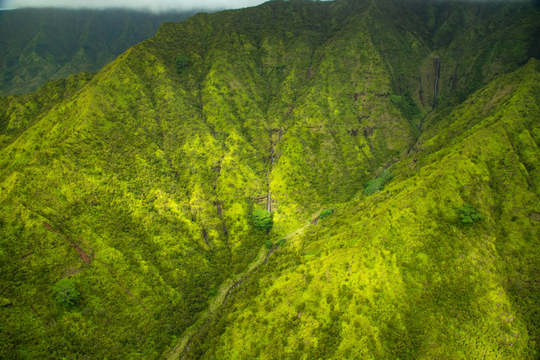 mount waialeale the wettest spot on earth kauai hawaii