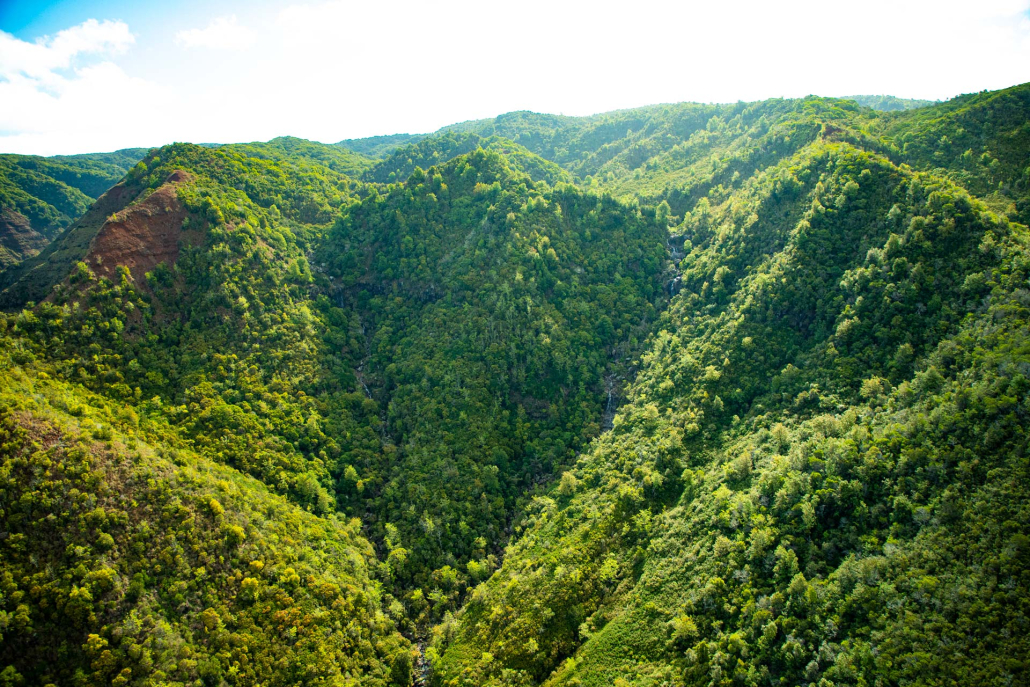 panoramic views of waimea canyon state park kauai