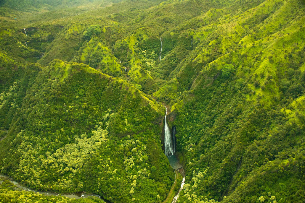 seeing the falls flow over a sheer cliff face into a pool below manawalopuna falls or jurassic falls kauai