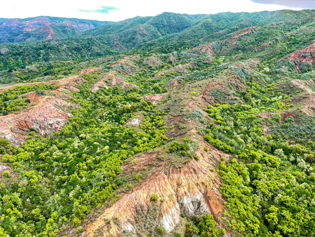 soar above fantastic landscapes waimea canyon state park kauai hawaii