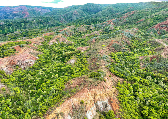 soar above fantastic landscapes waimea canyon state park kauai hawaii slider