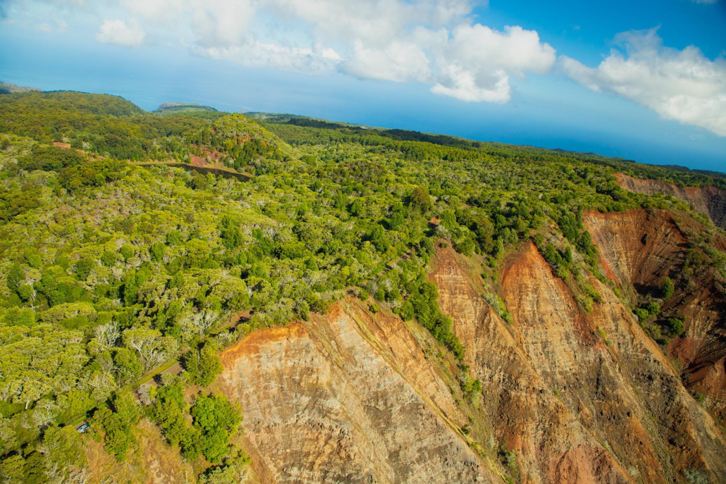 waimea canyon state park the largest canyon in the pacific kauai