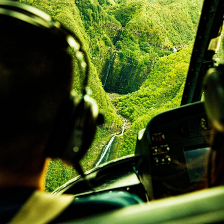 a unique perspective of the hana rainforest maui