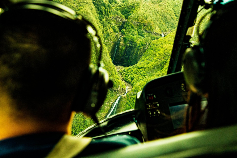 a unique perspective of the hana rainforest maui