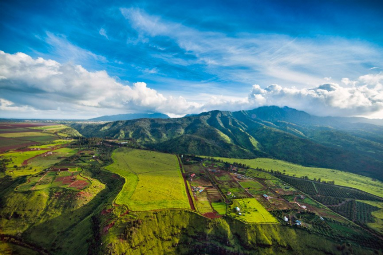 aerial view of farmland on oahu