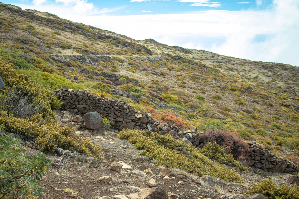 climb above haleakala national park with intimate views of the crater maui hawaii