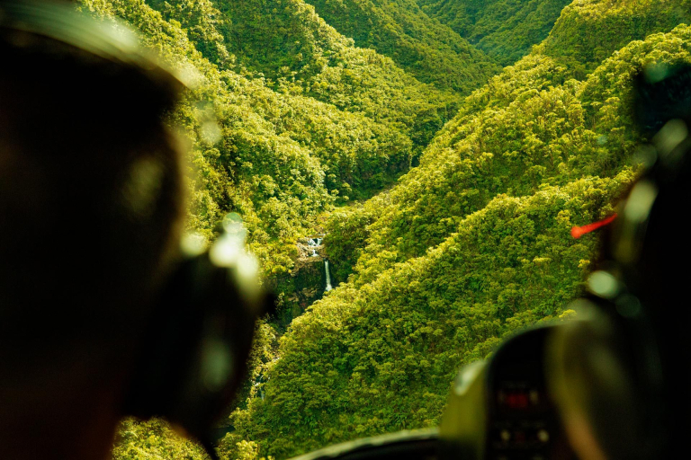 get a view of the hana lush forests and waterfalls by a helicopter tour in maui