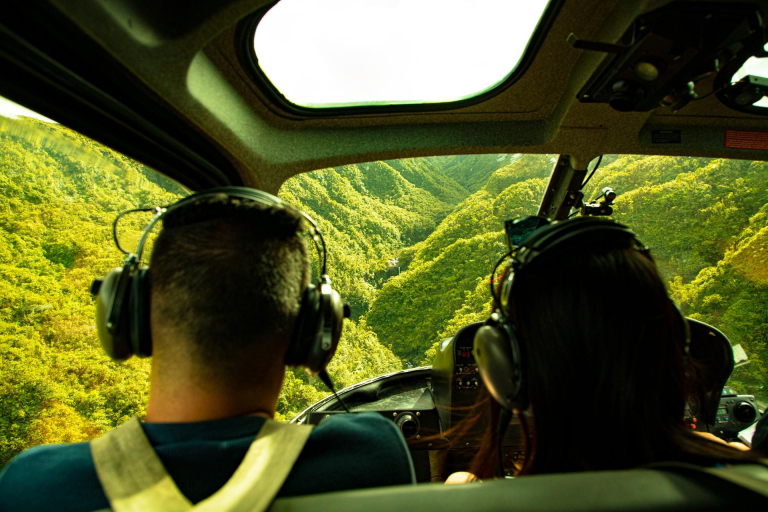 get a view of the hana lush forests and waterfalls in maui