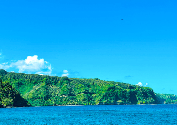 get an up close look at all the best that maui has to offer on a helicopter tour