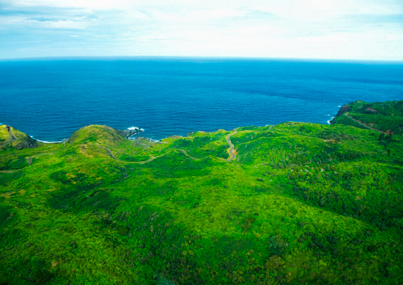 get an up close look at all the best that maui has to offer