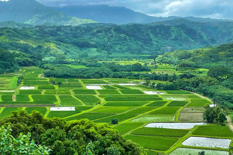 hanalei national wildlife refuge located within the hanalei river valley along the northern shore of kauai feature