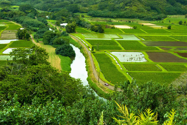 hanalei valley lookout kauai feature