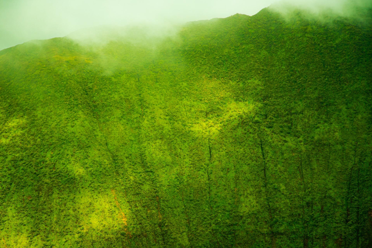 helicopter tour of the hana rainforest maui