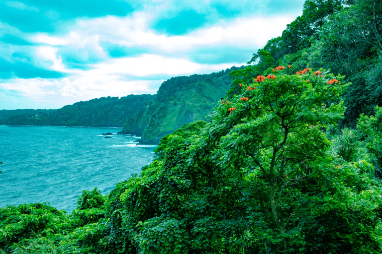 road to hana maui hawaii