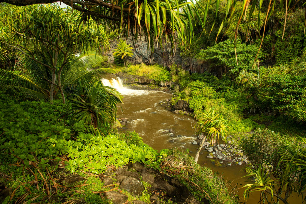 seven sacred pools in the island of maui