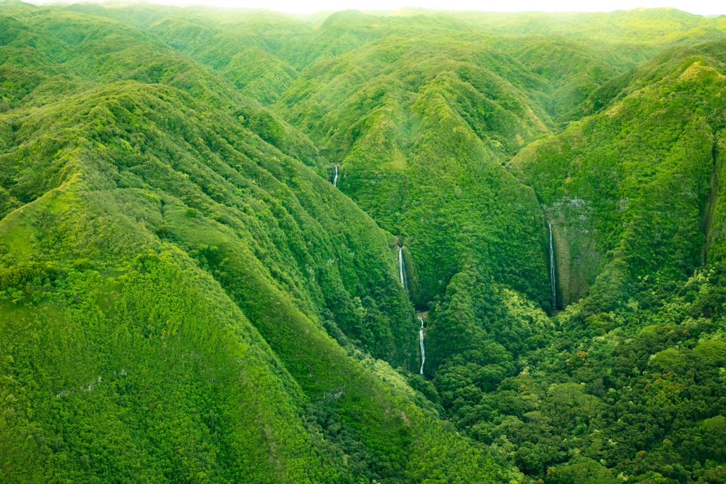 waterfalls in hana lush tropical maui