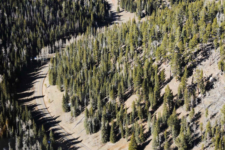maverickhelicopter canyon spirit kaibab trees