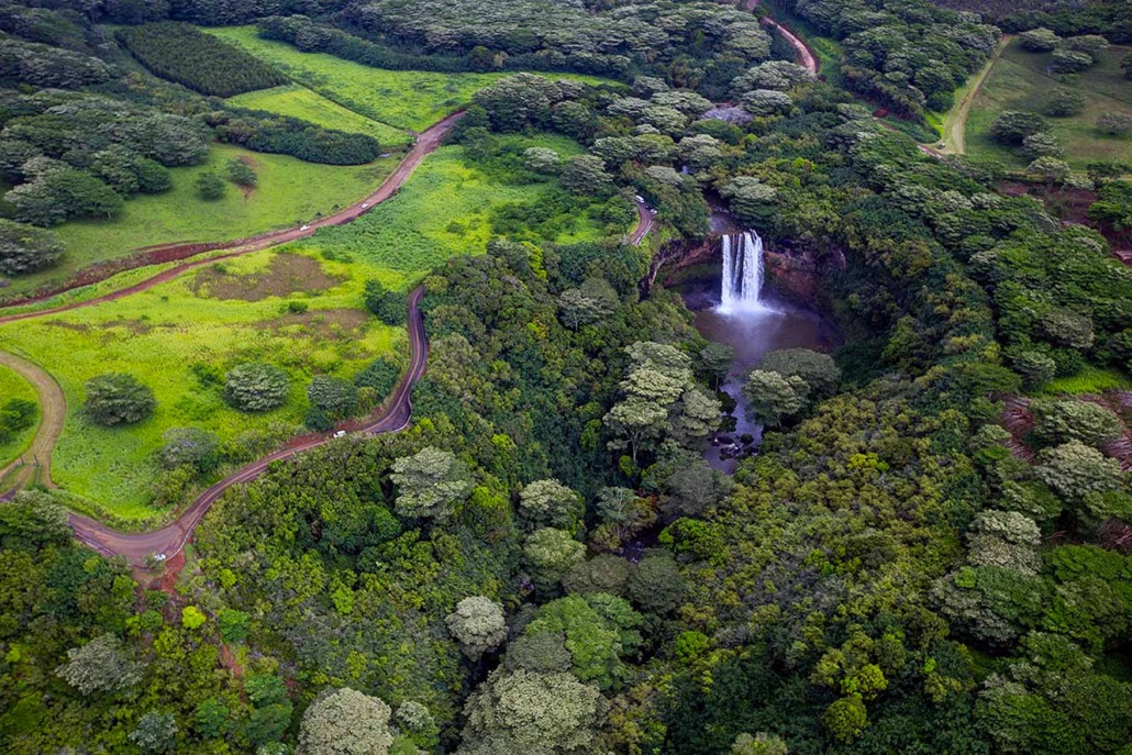 safarihelicopters volcanoes national park safari forest and waterfall