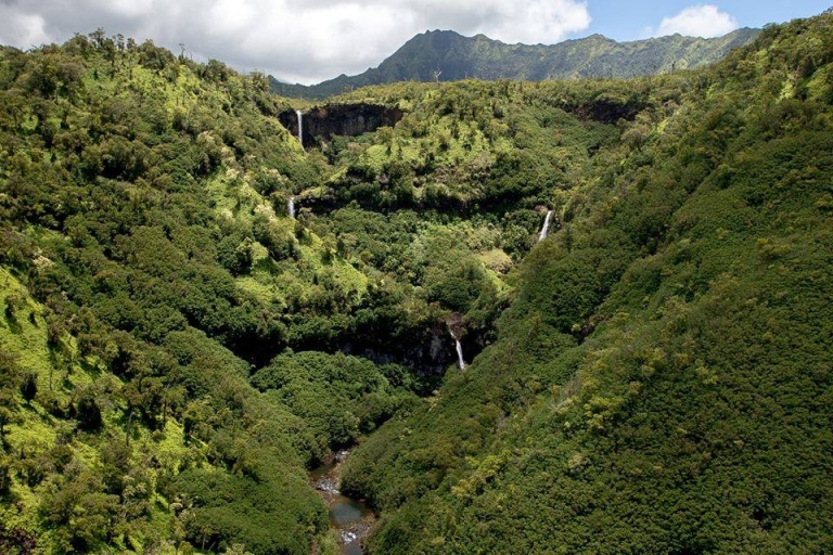 safarihelicopters volcanoes national park safari green forest