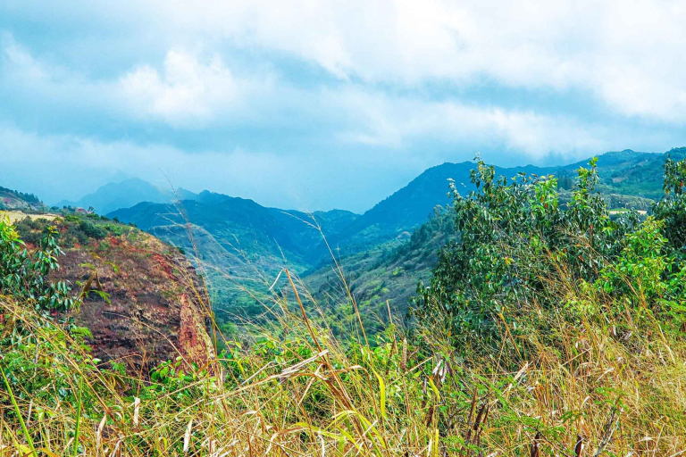 hanapepe valley lookout kauai feature