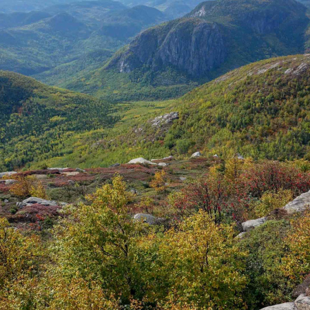 shutterstock parc national des grands jardins product images